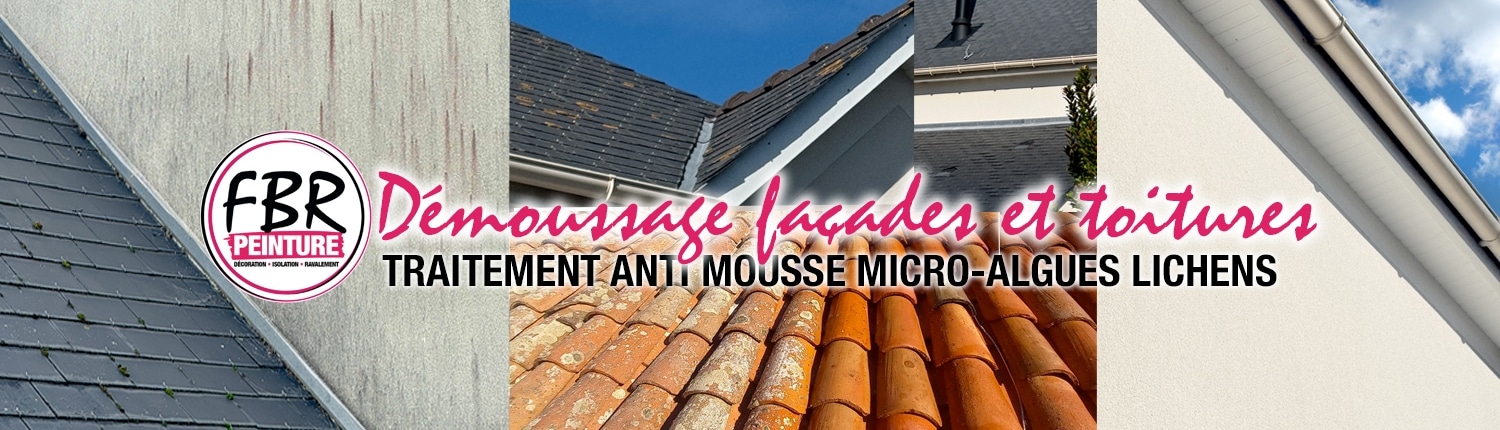 Nettoyage et démoussage de façades et toitures en Bretagne SUD
